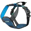 Image de Harnais Company of Animals Carsafe - Bleu L