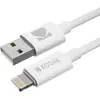 Image de KODAK Câble USB-A Premium vers Cable Chargeur iPhone/iPad Lightning 1m - Compatible Charge rapide et Transfert de Données Haute Vitesse - Noir