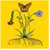 Image de Like A Ribbon