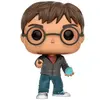 Image de Funko Figurine Pop Harry Potter With Prophecy