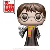 Image de Funko figurine Harry Potter POP Super Sized