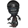 Image de Funko Figurine POP Alien Romulus Scorched Xenomorph