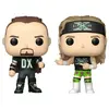 Image de Funko Figurines POP WWE New Age Outlaws - Pack de 2