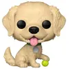 Image de Funko-Legacy - Figurine POP! Animaux de compagnie Golden Retriever 9 cm