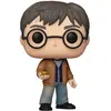 Image de Harry Potter - Figurine POP! Harry Potter avec la Pierre de Résurrection 9 cm