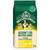 Image de James Wellbeloved Junior Hypoallergénique agneau et riz - 2 kg