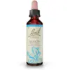 Image de Fleurs de Bach Beech Gouttes 20 ml