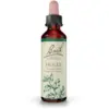 Image de Fleurs de Bach Holly Gouttes 20 ml
