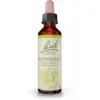 Image de Fleurs de Bach Honeysuckle Gouttes 20 ml