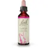 Image de Fleurs de Bach Larch Gouttes 20 ml