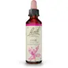 Image de Fleurs de Bach Oak Gouttes 20 ml