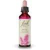 Image de Fleurs de Bach Pine Gouttes 20 ml