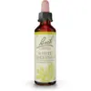 Image de Fleurs de Bach White Chestnut Gouttes 20 ml