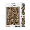 Image de Citadel : Boite De Cranes / Skulls