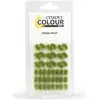 Image de Games Workshop Citadel Colour : Verdia Veldt Tufts