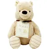 Image de Rainbow Designs - Classique Winnie l'ourson & Friends - Peluches Pooh - 20 cm