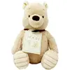 Image de Rainbow Regenbogen-Plüschtier Winnie Puuh / 0+ (19 cm)