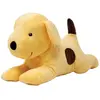 Image de Rainbow design limited SD1655Rainbow Ply