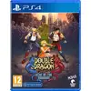 Image de Double Dragon Gaiden : Rise of the Dragons