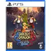 Image de Double Dragon Gaiden : Rise of the Dragons
