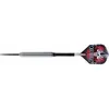 Image de Fléchettes Assassin 80 steel 21g bleu