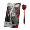 Image de Fléchettes Ace steel 20g R
