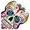 Image de Ailettes Harrows Quadro 2003 Skull Coloré