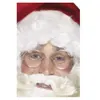 Image de Lunettes Ronde Metal Pere Noel Sans Verre - Argent