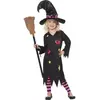 Image de Costume de la Sorcière des Cendres