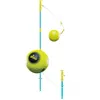 Image de Ensemble multijoueurs 2 en 1 Swingball
