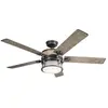 Image de Elstead Lighting Ahrendale ventilateur de plafond silencieux avec lumière LED Ø152cm IP44 extérieur + télécommande, Ventilateur, Gris