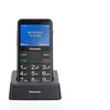 Image de Téléphone Cellulaire Panasonic KX-TU155EX Noir