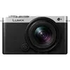 Image de Panasonic LUMIX S9 Black / Silver + S 18-40mm f/4.5-6.3 (18 - 40 mm, 24.20 Mpx, Plein format), Appareil photo, Noir, Argent