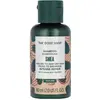 Image de The Body Shop, Shampoing, - Shampooing pour cheveux secs à très secs Karité (shampooing) - Volume : 60 ml (Shampoing liquide, 60 ml)