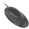 Image de Souris Filaire Pro Fit Ergo - Noir