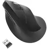 Image de Kensington Pro Fit (Sans fil), Souris, Noir