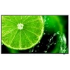 Image de NEC MultiSync E658 165,1 cm (65") IPS 350 cd/m² 4K Ultra HD 60005059