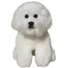 Image de Peluche Bichon Frisé