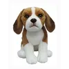 Image de Peluche Chien BEAGLE