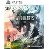 Image de Wild Hearts