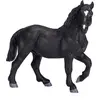 Image de small foot Percheron cheval