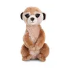 Image de Aurora Cuddle Mini Flopsy suricate 20.5 cm