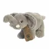 Image de Elephant eco nation