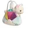 Image de Rainbow bag chat princesse
