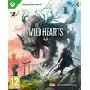 Image de Wild Hearts