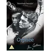 Image de Orphée DVD