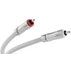 Image de QED Signature Audio 40 (0,60 m)