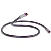 Image de QED Reference Digital Audio 40 (0,6 m)