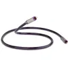 Image de QED Reference Digital Audio 40 (1 m)