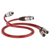 Image de QED Reference Analogue XLR 40 (1 m)